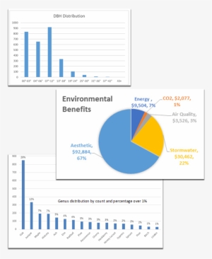 Tree Inventory Management Plan - Plan #245217