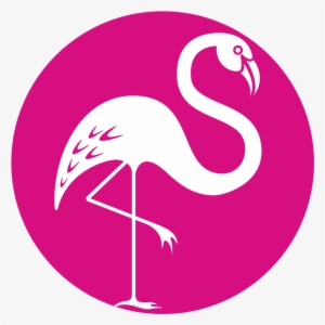 Pink Flamingo Certification - Pink Flamingo Miami #245417