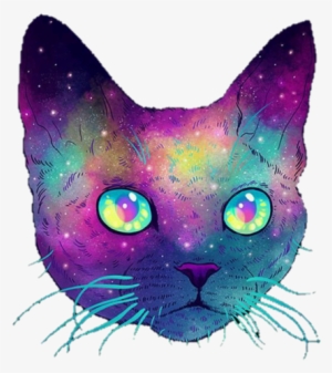 Cat And Galaxy Image - Galactic Cats #245698