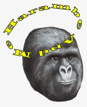 Envirokidz - Organic Gorilla Munch ( 6 - 23 Oz Boxes) #245789