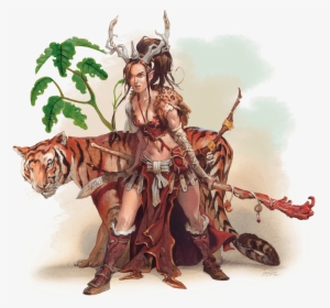 Basic Rules For Dungeons And Dragons Fifth Edition - Complete Druid's Handbook #245857