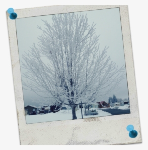 One Of The Major Winter Weather Phenomenons That We - Lake Chelan Homewatch #245906