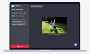 How To Convert Image To Video Online - Psychotic Kittens By Sarah Isbell #246034