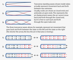 Displacement Wave Is Fixed At Closed End And Free At - Standing Waves In Wind Instruments #246050