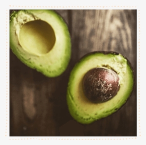 Avocado #246357