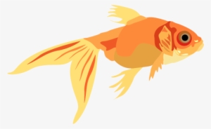 Vector Illustration- Portrait - Goldfish #246571