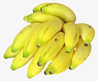 Download Png Image Report - Indian Banana Png #246597