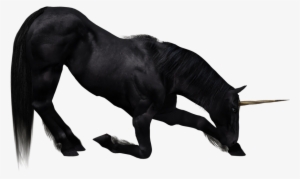 Horse #246617