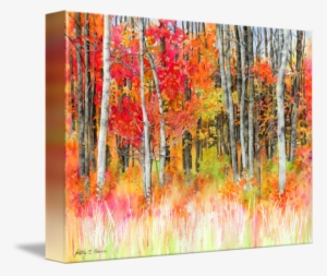 "woodsy Forest" By Hailey E - Watercolor Painting #246626