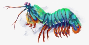 Sundial Beach Resort & Spa - Sanibel Sundial Partners, Llc #246704