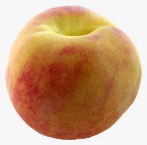 Peach Fruit #247573