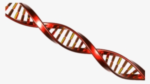 Dna String Red And Yellow - Adn Png #247779