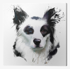 Watercolor Dog Portrait Of A Border Collie, Closeup - Collie #247836