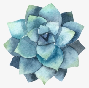 Papersphinx Succulents 16 - All The Boys I Loved Before Iphone #248033