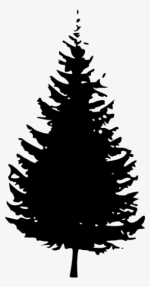 Pine Tree Png Free - Pine Tree Tree Silhouette - Free Transparent PNG ...