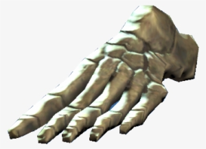 Left Foot Bones - Portable Network Graphics #248635