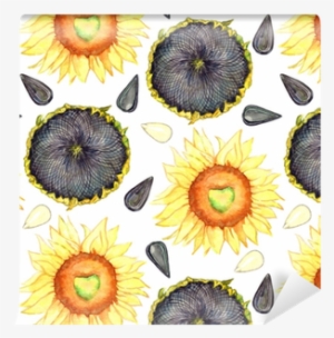 Sunflower Blooming, Ripe Head And Seeds, Seamless Pattern - Seed #248681