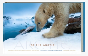 To The Arctic - Arctic #249177