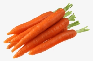 Carrot Transparent - Carrots Transparent Png #249232