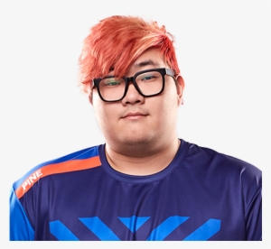 Pine New York Excelsior #249330