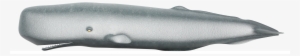 Sperm Whale Png Clipart - Knife #249699