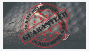 30 Day Money Back Gurantee - Graphic Design #2404529