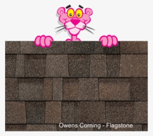 Pink Panther #2405229
