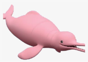 Platypus Octonauts #2405616