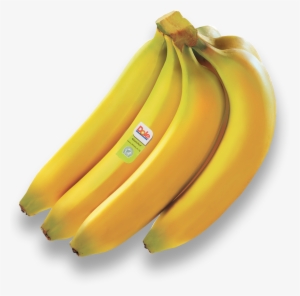 Our Products - Nz Banana #2406013