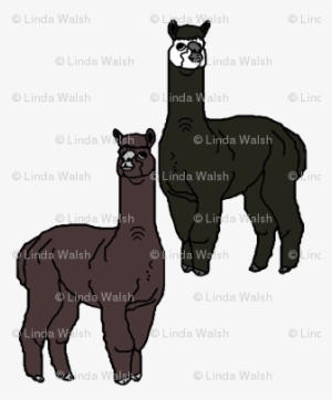 Alpaca Black And Brown Animal Fabric Back - Textile #2406113