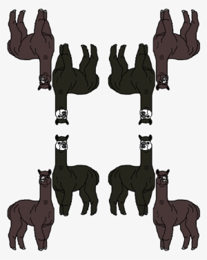 Donkey #2406254