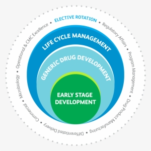 Each Year Pfizer Selects Accomplished New And Recent - Linkedin #2407166