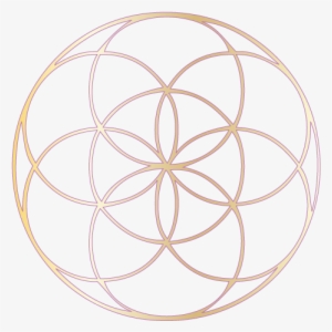 And So Often The Community Takes On A Life Of Its Own- - Gold Seed Of Life #2407908