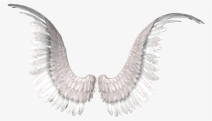 Alas En Png - Png Alas De Angel #2408431