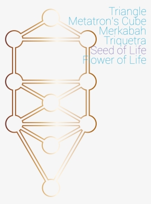 Seed Of Life - Diagram #2408505