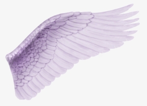 Ejemplo De Uso, Ya Duplicando La Capa Y Aplicando Una - Alas Para Photoshop #2408556