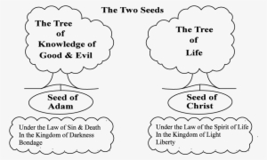 Lesson 8 Figure - Second Coming Of Christ Study Guide #2408610