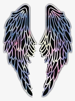 Report Abuse - Hush Hush #2408747