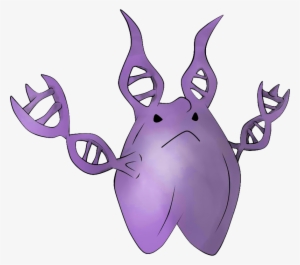 Tm Moves Shiny Mega Ditto Can Learn - Pokemon Ditto Evolution #2410059