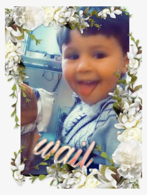 Report Abuse - Aaliyah #2410315