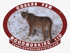 Euro Corner Skull Mounts - P A W Woodworking #2411142