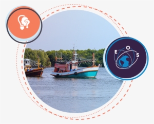 Fish Stocks - Fish #2411513