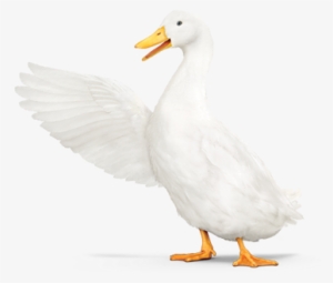 Aflac Duck With Wing Pointing Left - Aflac Duck Transparent #2413068