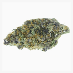 Home Abc Collective Treasure - Cannabis #2413220