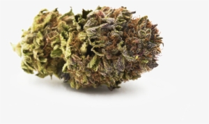 Blue City Diesel - - Cyclopia #2413456