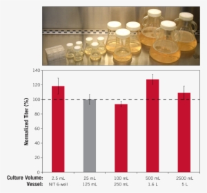 Chogro Expression System Enables Broad Scalability, - System #2415802