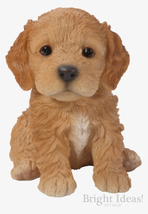 Cockapoo Vivid Arts Pet Pals Puppy Dog Real Life - Cockapoo Puppy #2419090