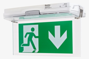 The Oez Luminaire Is A Surface Mounted Emergency Led - Fire Exit #2419218