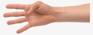 Hands Png, Hand Image Free - Hand Four Fingers Png #2419919