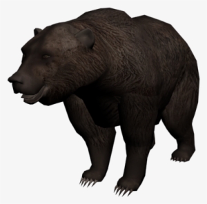 Oso - Oso En Png #2421826